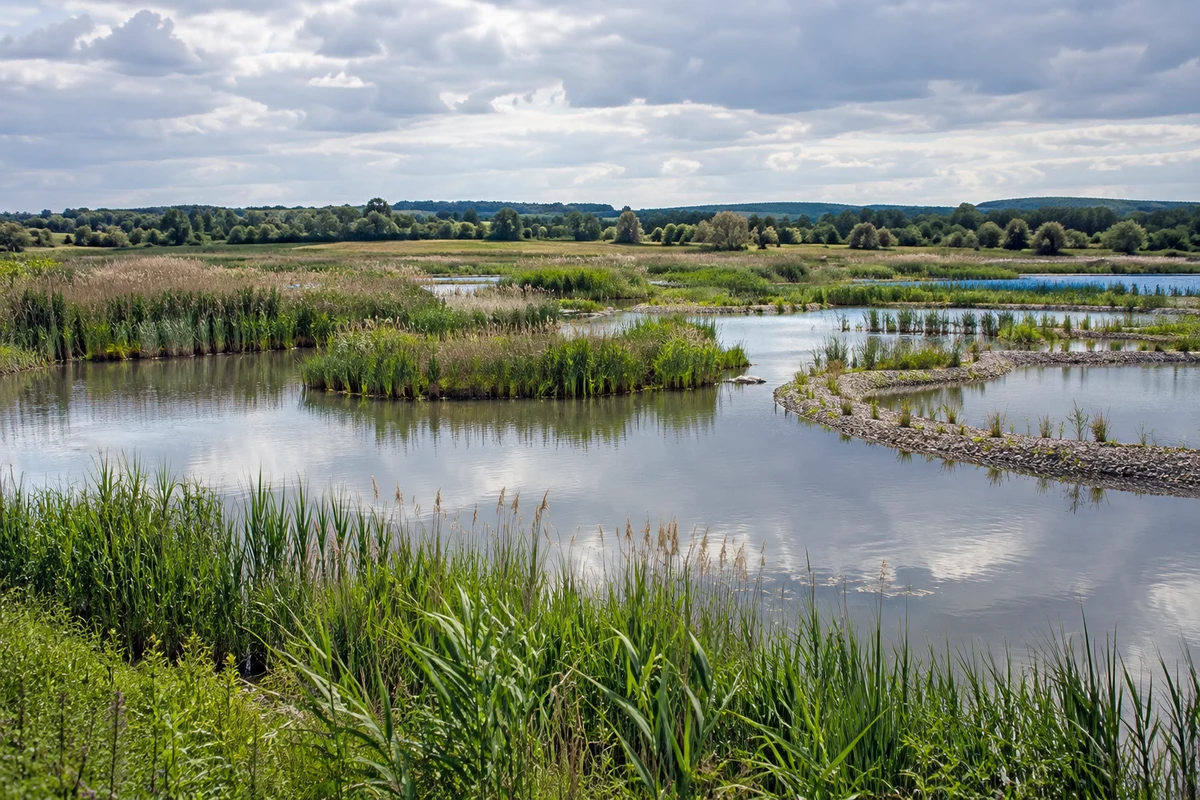 Constructed wetland with reed beds and gravel channels